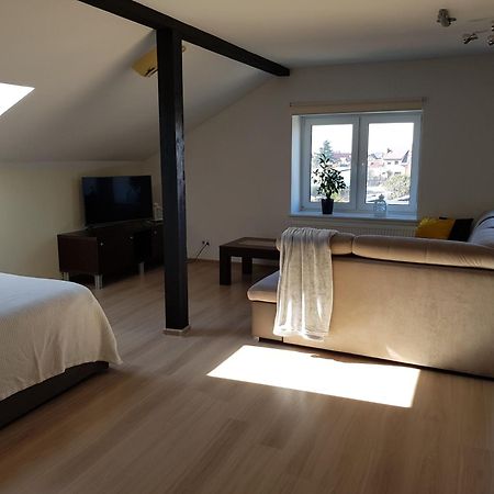 Malinowa 36 Apartamenty Хойніце Номер фото