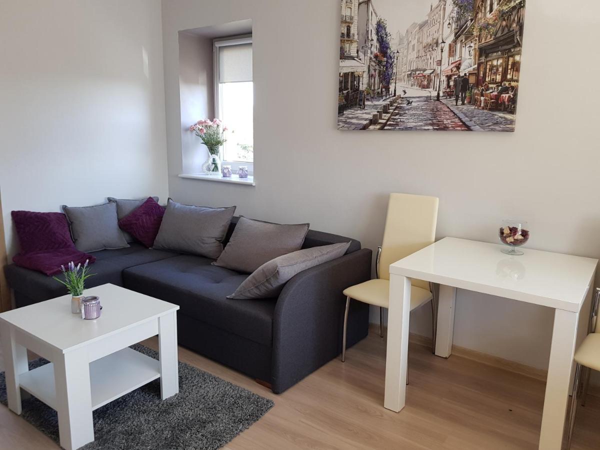 Malinowa 36 Apartamenty Хойніце Екстер'єр фото