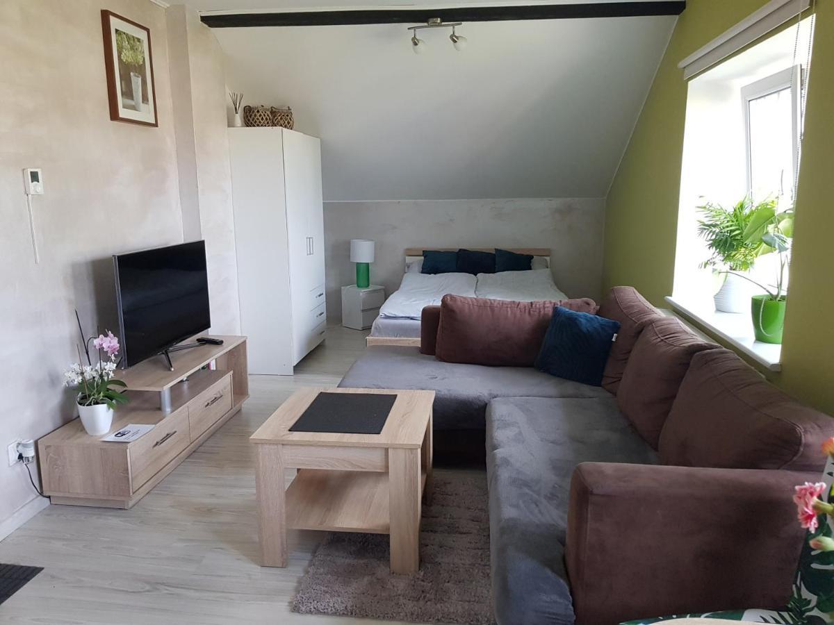 Malinowa 36 Apartamenty Хойніце Екстер'єр фото