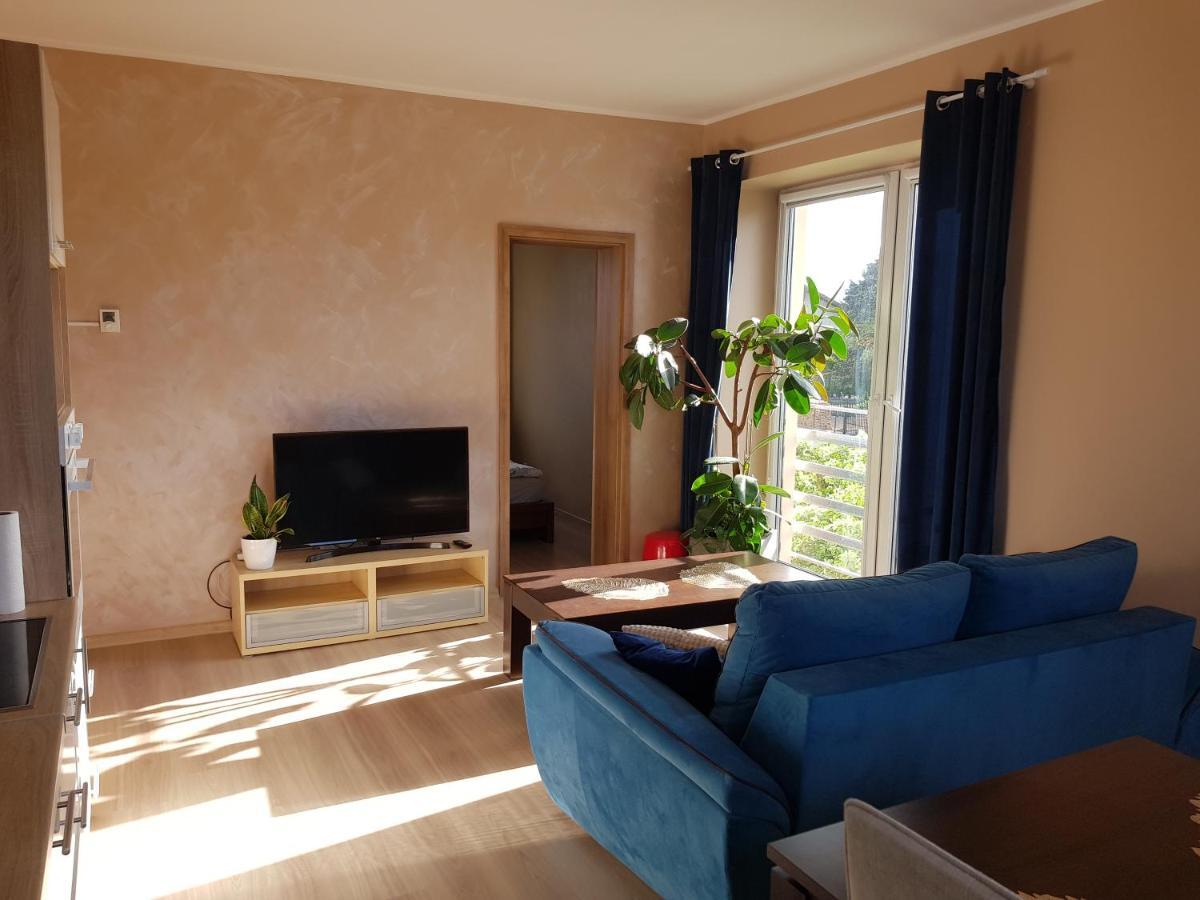 Malinowa 36 Apartamenty Хойніце Екстер'єр фото